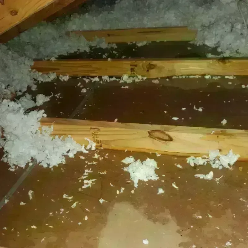 Attic Water Damage in Brooks, ME